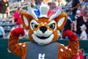 Sports Team Mascot Costumes: How to Energize Your Crowd