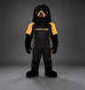 🦅 Eagle, Ostrich & Raven Mascot Costumes – Ready Stock, Custom Logo & Simple Accessories Available