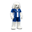 🎭✨ Multiple Mascot Styles – In Stock with Custom Logo & Simple Accessories Available
